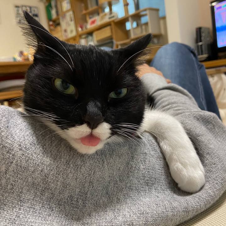 8e79bb60 f8a0 4501 856c 4d907711a4fe 1635666270855