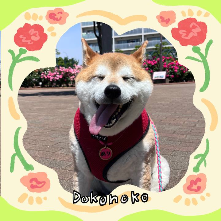 8e79c38a 52db 4790 930d d31f20a38c74 1715256206502