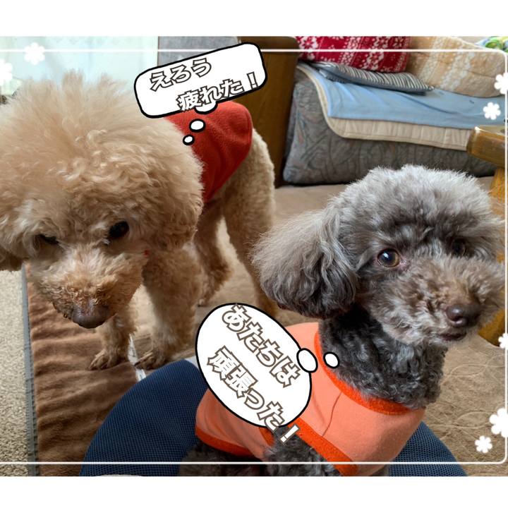 8e79ce20 9733 4169 9b9b 2c2e6bae415d 1586309100139