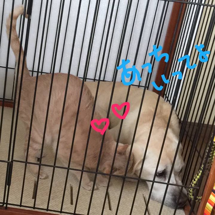 8e79ea70 c2c3 4bd0 a59f aa3899d08954 1588836601568