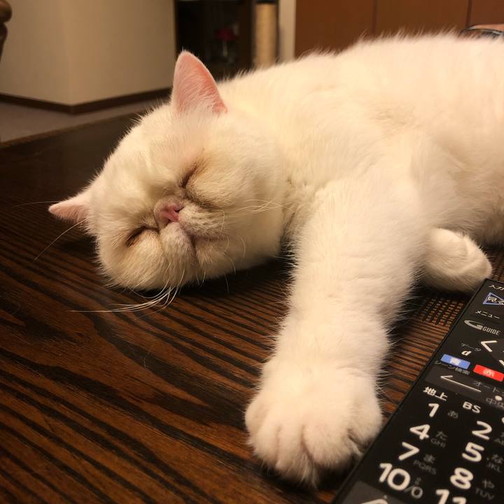 8e7a293c f749 4bb0 a725 0fc5c9107306 1630067639711