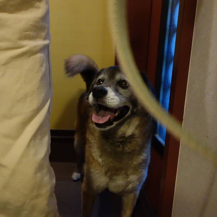 8e7a5df0 4d12 406b b3f6 bfe9eefb9b74 1672016885012