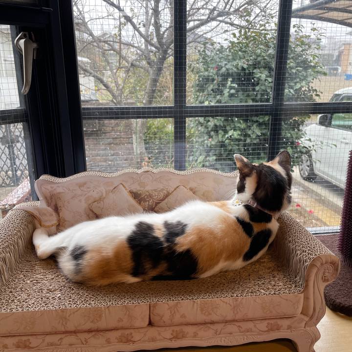 8e7a9df9 ab86 4373 8168 6af586172f02 1675985999115