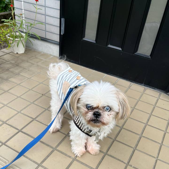 8e7aa082 6329 4d6d 83f9 dcf6830a4f86 1730207456009