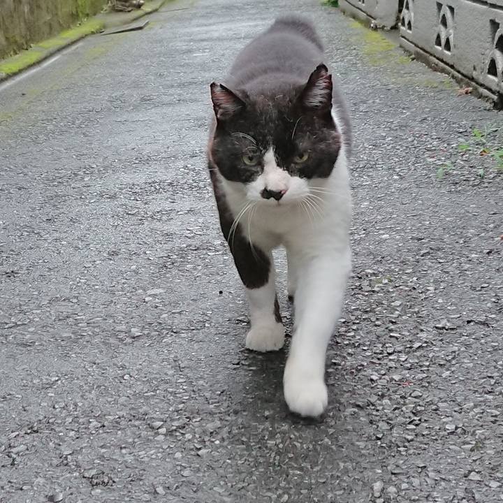 8e7aa3b2 51b4 4e0e bb42 e4c2ef83daaf 1658230168709