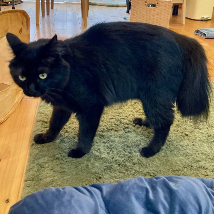 8e7aae6b d0f4 4a27 ab99 3247d7549f26 1759623708373