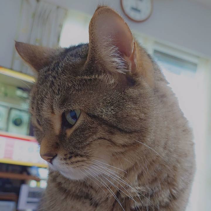 8e7ac79a ea6b 4ddd 8ea8 08867656def9 1624311515312