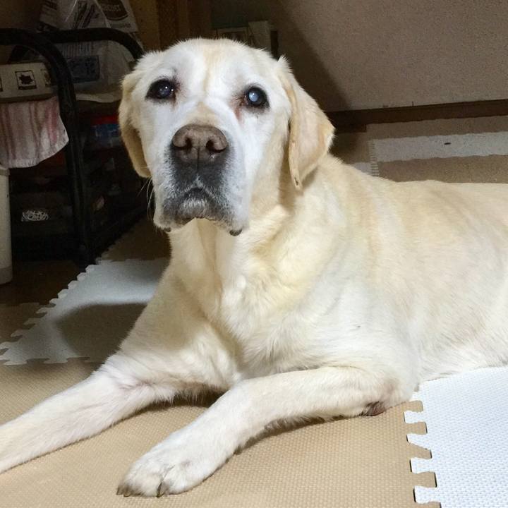 8e7ad786 2a8c 4034 b711 dd202414f808 1521977911806