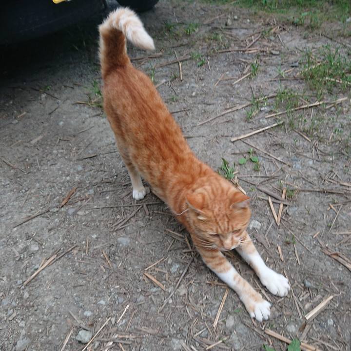 8e7ae039 dc6a 470f a124 defd395f5027 1596790660857