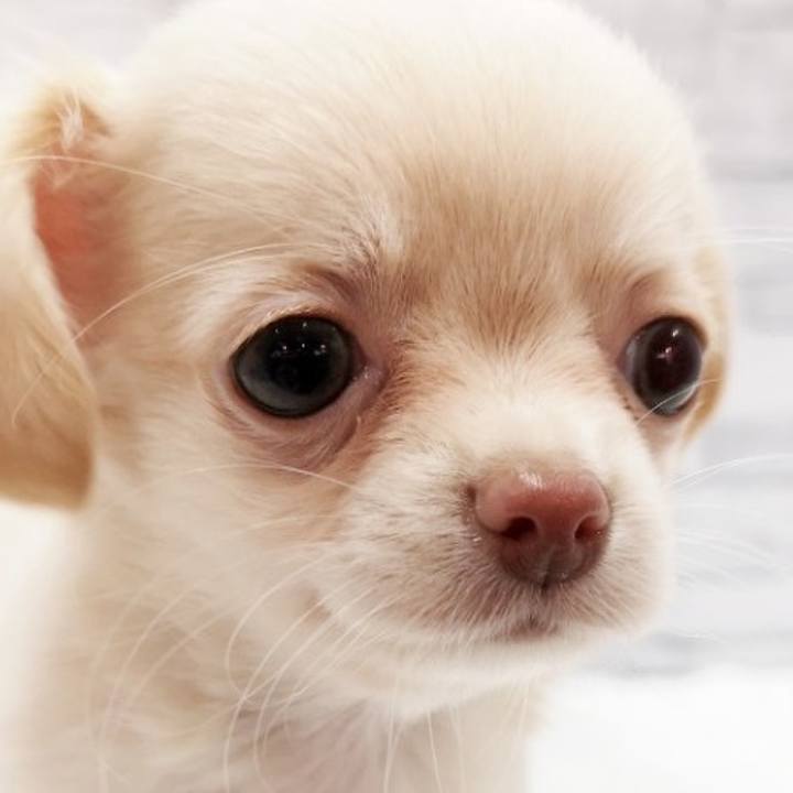 8e7b115f 78e7 418a 8e4b 1307d98604d7 1628682941379