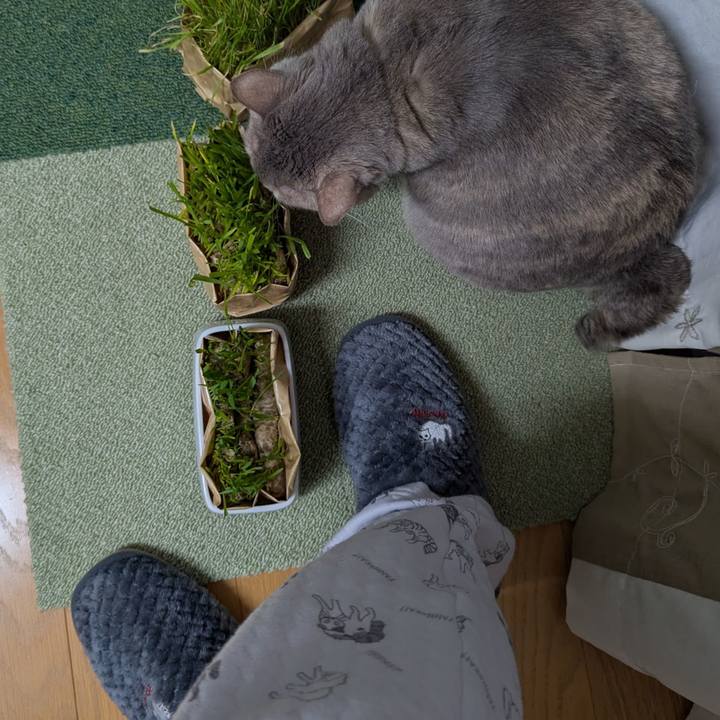 8e7b2ddf 0300 4e8e bad7 792f56270547 1737186888786