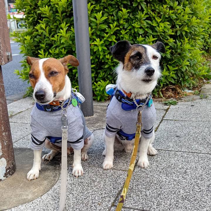 8e7b3298 8b4b 45a3 8806 89a6f0a67b24 1622671909154