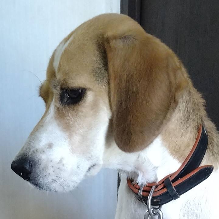 8e7b4b98 8a15 43d7 9151 bd83a5511cd5 1629345315532