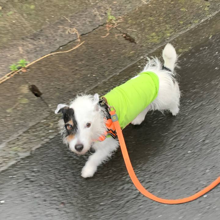 8e7b4ee2 979d 4f8c 89ad e7c4631afc9a 1718701626592