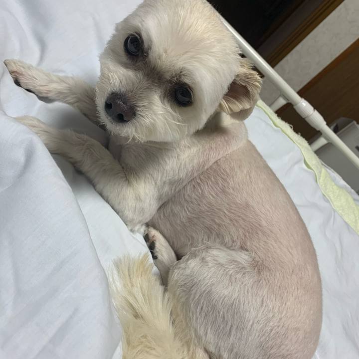 8e7b5232 e595 4ec0 a108 9babd2a69c2c 1621001208274