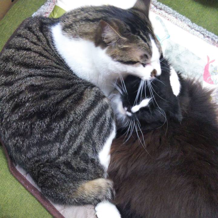 8e7b529c 8428 403d ac8e 378d43e0be67 1658744393714