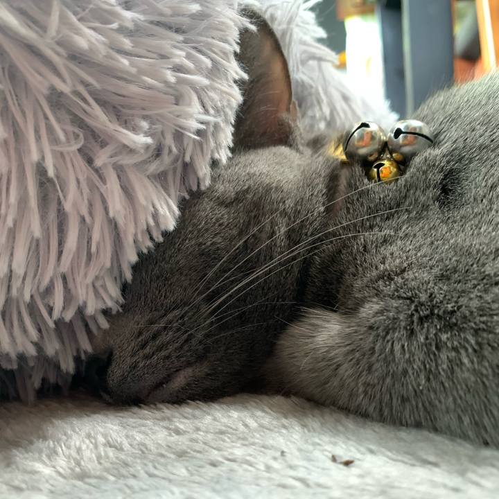 8e7baaf0 4a03 413b 97a6 24fea7306686 1650796339918