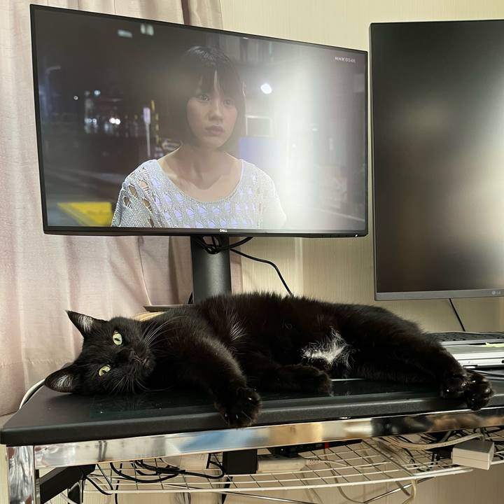 8e7bbef2 b5d6 4a1a a8a0 656f022057b5 1695079861802