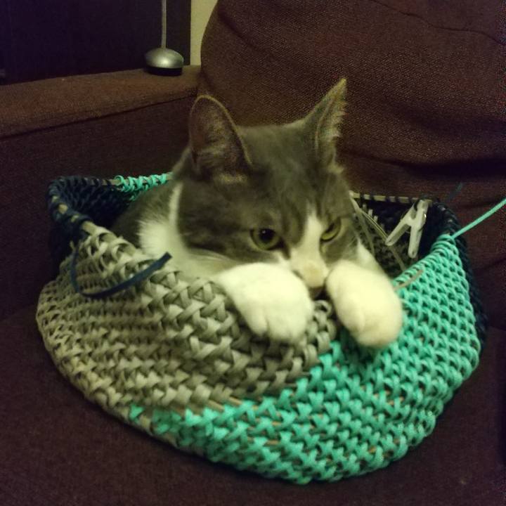 8e7bcaf3 3346 4792 80e8 c9dafba8ccc5 1624964145313