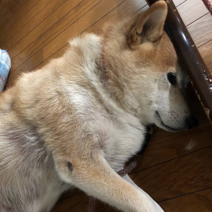 8e7be4ed 3f4b 4e1f b2ba 4b2a0650dc3e 1539269534311