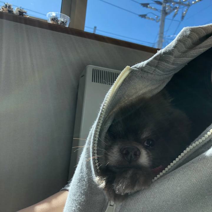 8e7be96d 16aa 4f13 938e 9f16367dd610 1552525331561