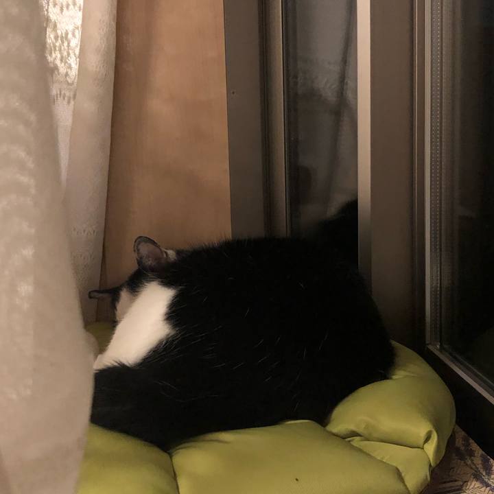 8e7bee79 4169 4841 9763 a9670991c32a 1574238422028