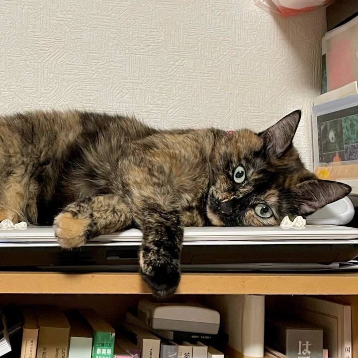 8e7bf28e 1321 4b37 aa17 01553c60a5f3 1654950660448