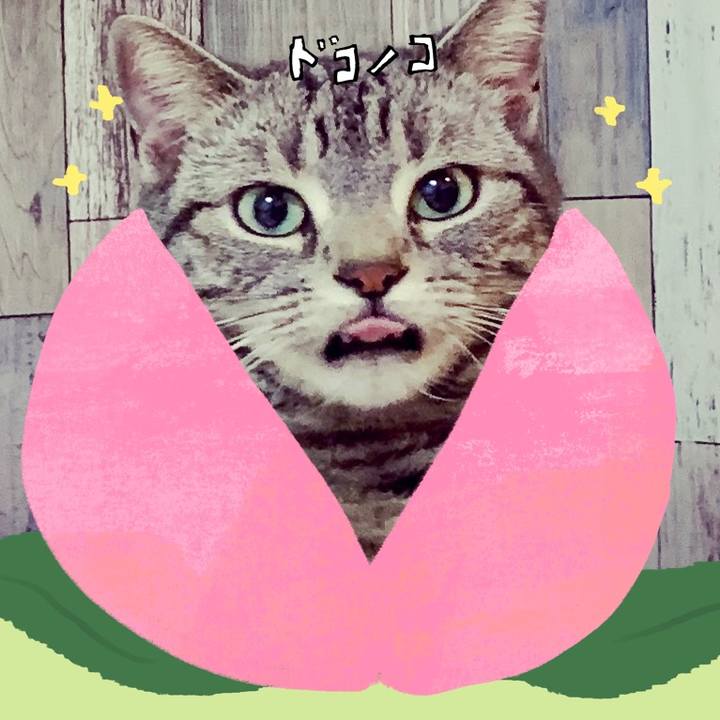 8e7c1c56 6d27 4479 a19a cf369fe891fb 1771906094680