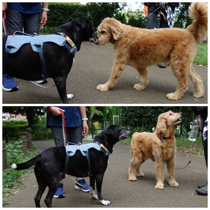 8e7c27f3 c4d3 4144 b4d8 d946873f89e9 1727137375402