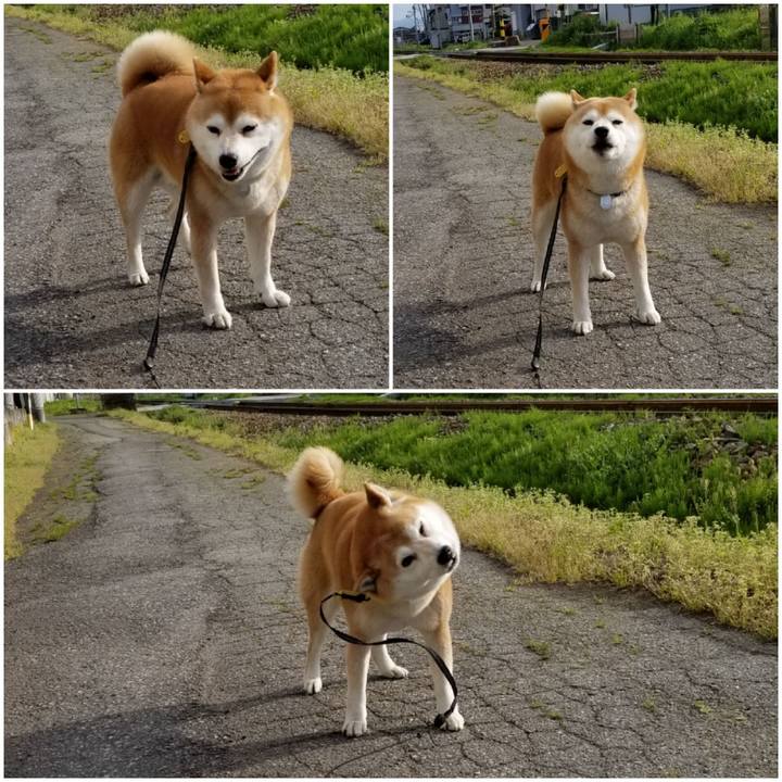 8e7c4542 ab83 41d2 9f84 428e55bd774b 1588663370892