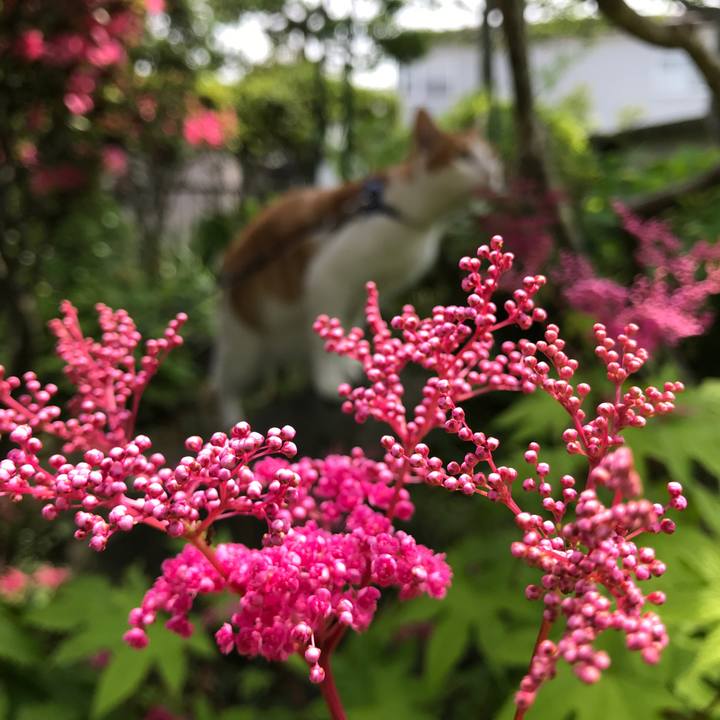 8e7c6c5b b525 4da9 a1e2 1af97dbcc5bd 1528539622568