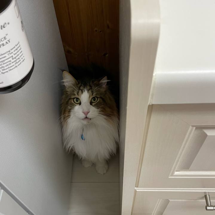 8e7c7237 2a25 4804 b9b2 8acc6f1b2228 1708371171225