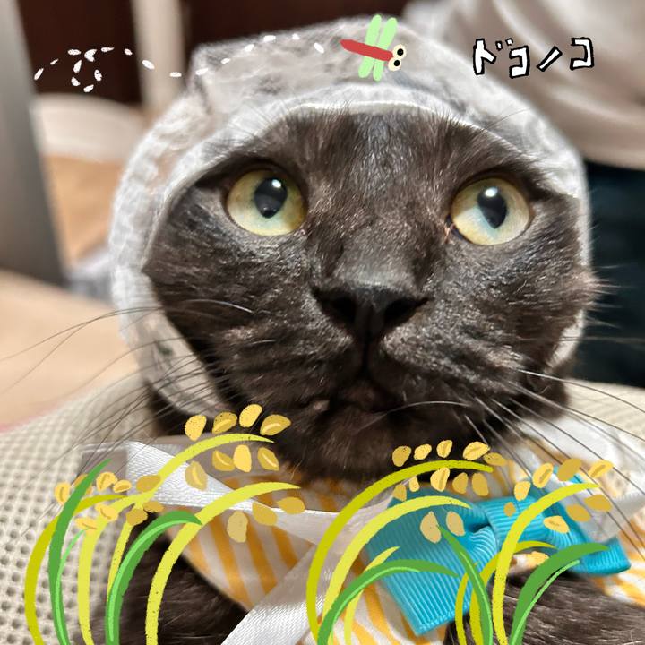 8e7cab02 f6d4 46f3 9e2f 9931ace09722 1761211850686