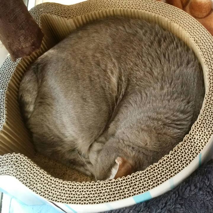 8e7ced5d d3d2 456c 814e e8b398f20fb7 1584675269045