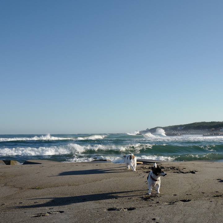 8e7d24f4 1a3b 4c48 af1a b20bd728bd07 1543726928942