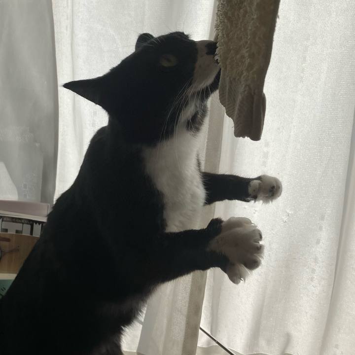 8e7d5941 b790 49b2 98f9 c9c96725c798 1740633002542