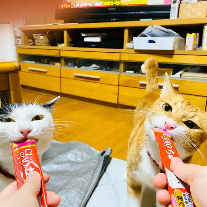 8e7d61e5 d8ed 4f99 8e8d b00b9a5d2da2 1689859400037