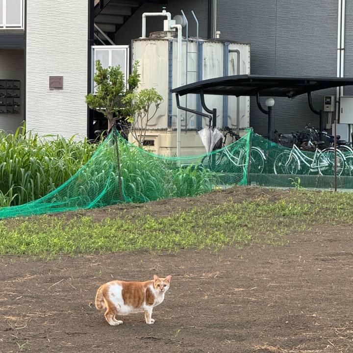 8e7d6223 a29e 4377 a480 da7daa601291 1756248397901