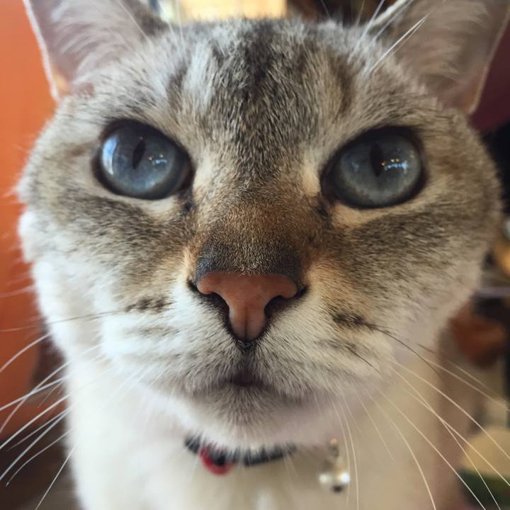 8e7d72b3 e035 4566 9651 2d83780d6012 1531542880964