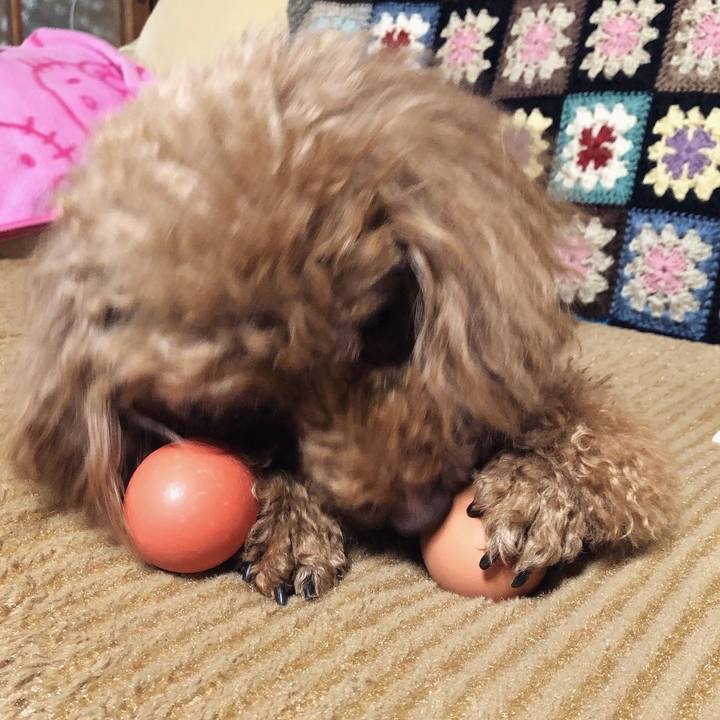 8e7e132d d667 4654 8a8c 930c394481ba 1578296259949