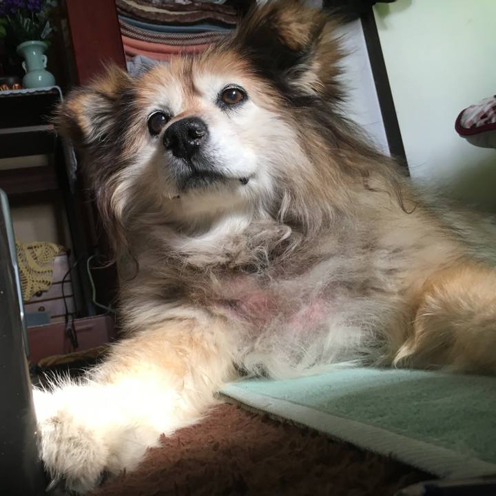 8e7e8605 5708 4f82 9475 e6bc27653566 1583845586963