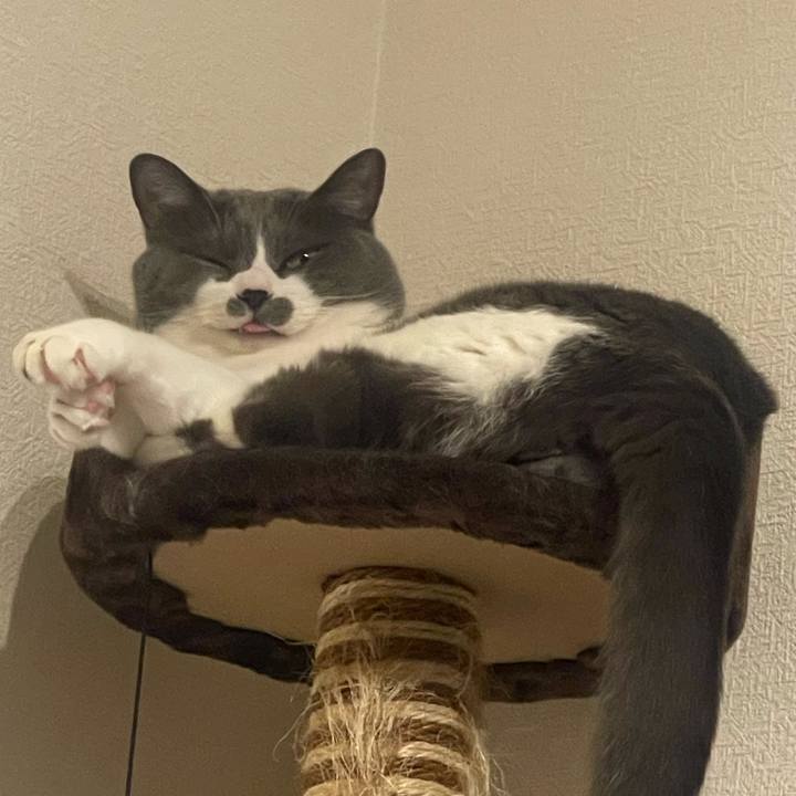 8e7e8fe7 7fea 477b a3b9 2b57aee33510 1720866899669