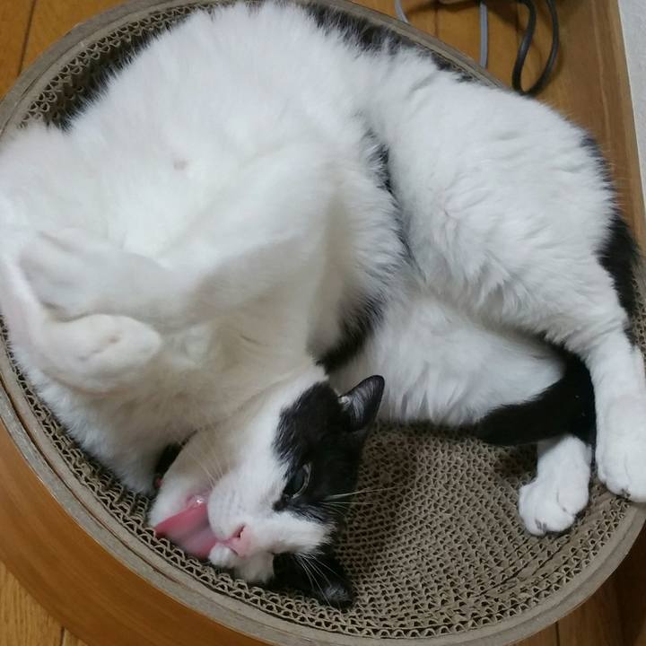 8e7e9712 7f39 4590 a695 39e4327aa105 1567814960358