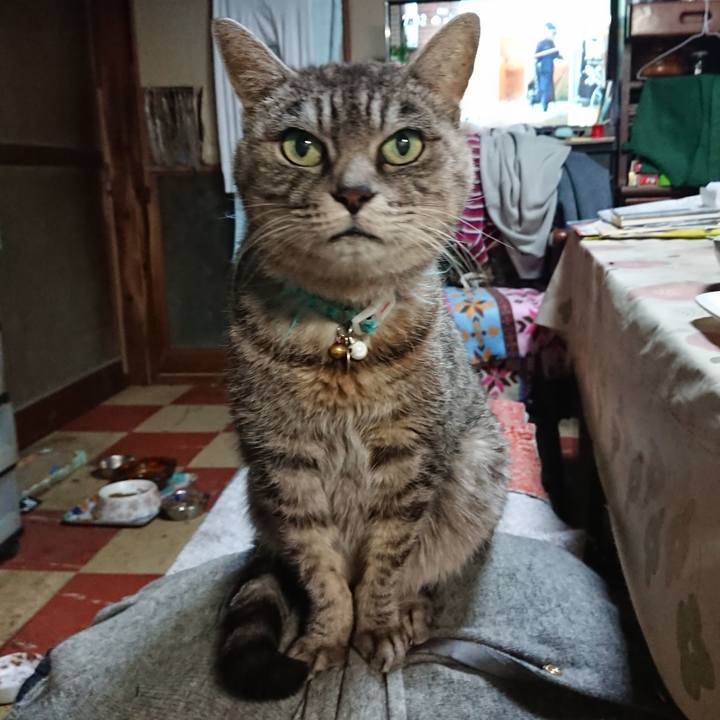 8e7ed2f1 2d55 48c3 b1cb 88cf5d09cd7b 1574903231342