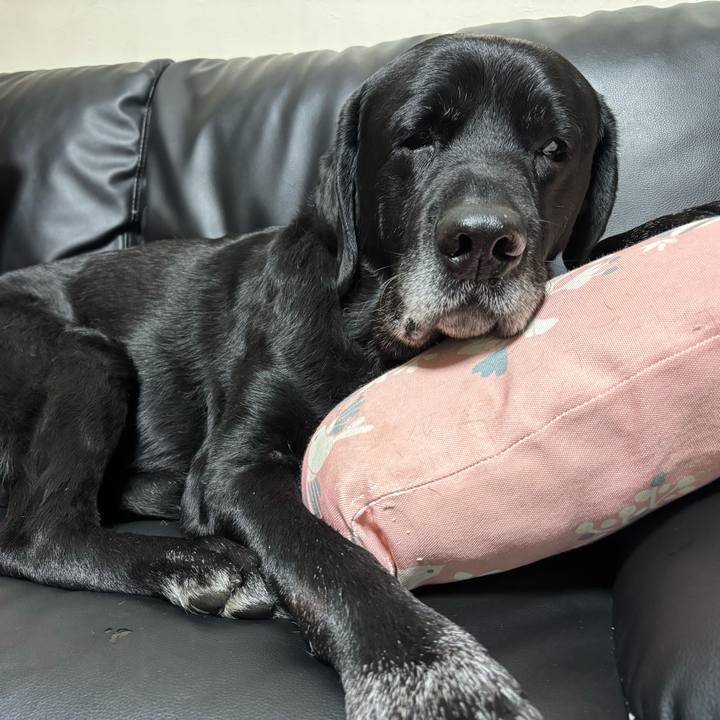 8e7ee3c7 3ff5 49d7 8ba6 fbf3c2a16c53 1765804732459