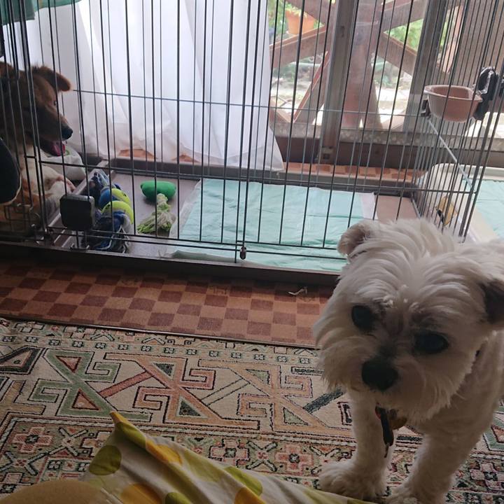 8e7f05d0 9285 4e25 a953 e6f863fa7015 1654166287347