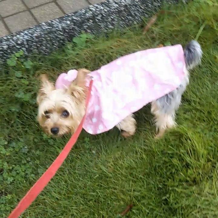 8e7f29db 273f 4213 ad49 980b14a48015 1628936494731