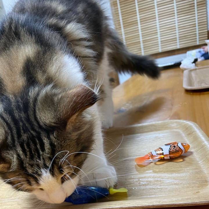 8e7f3c62 fa59 44dd 9760 0580a9ee6eed 1635856464859