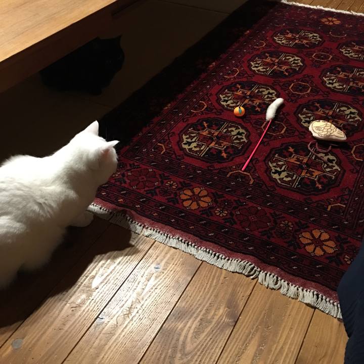 8e7f4946 9bb5 4dbc 970e 102790e2307f 1547913514074