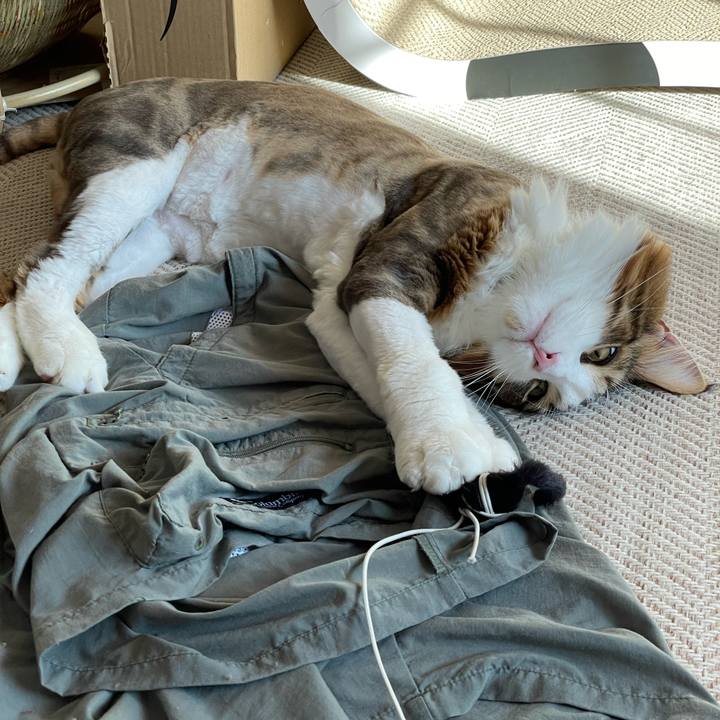 8e7fcaa8 d28c 4597 8498 cfe40ce52ff7 1659168665794